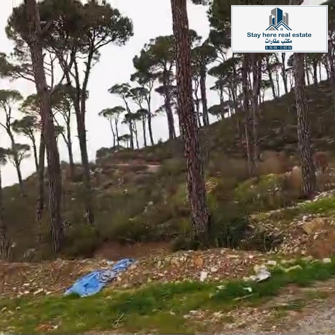 Halba - Akkar , Near Crunchyz – 5