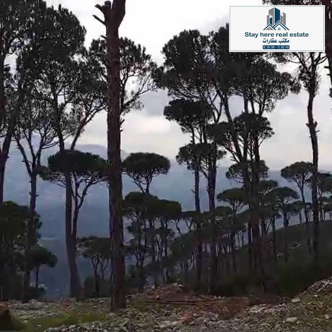 Halba - Akkar , Near Crunchyz – 4